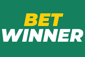 Get in Touch Contact Betwinner for Support and Queries Get in Touch Contact Betwinner for Support and Queries