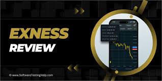 Understanding the Role of an IB Broker Exness in Today's Market Understanding the Role of an IB Broker Exness in Today's Market