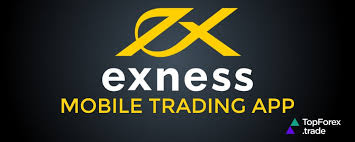 Complete Guide to the Exness Registration Page 16 Complete Guide to the Exness Registration Page 16
